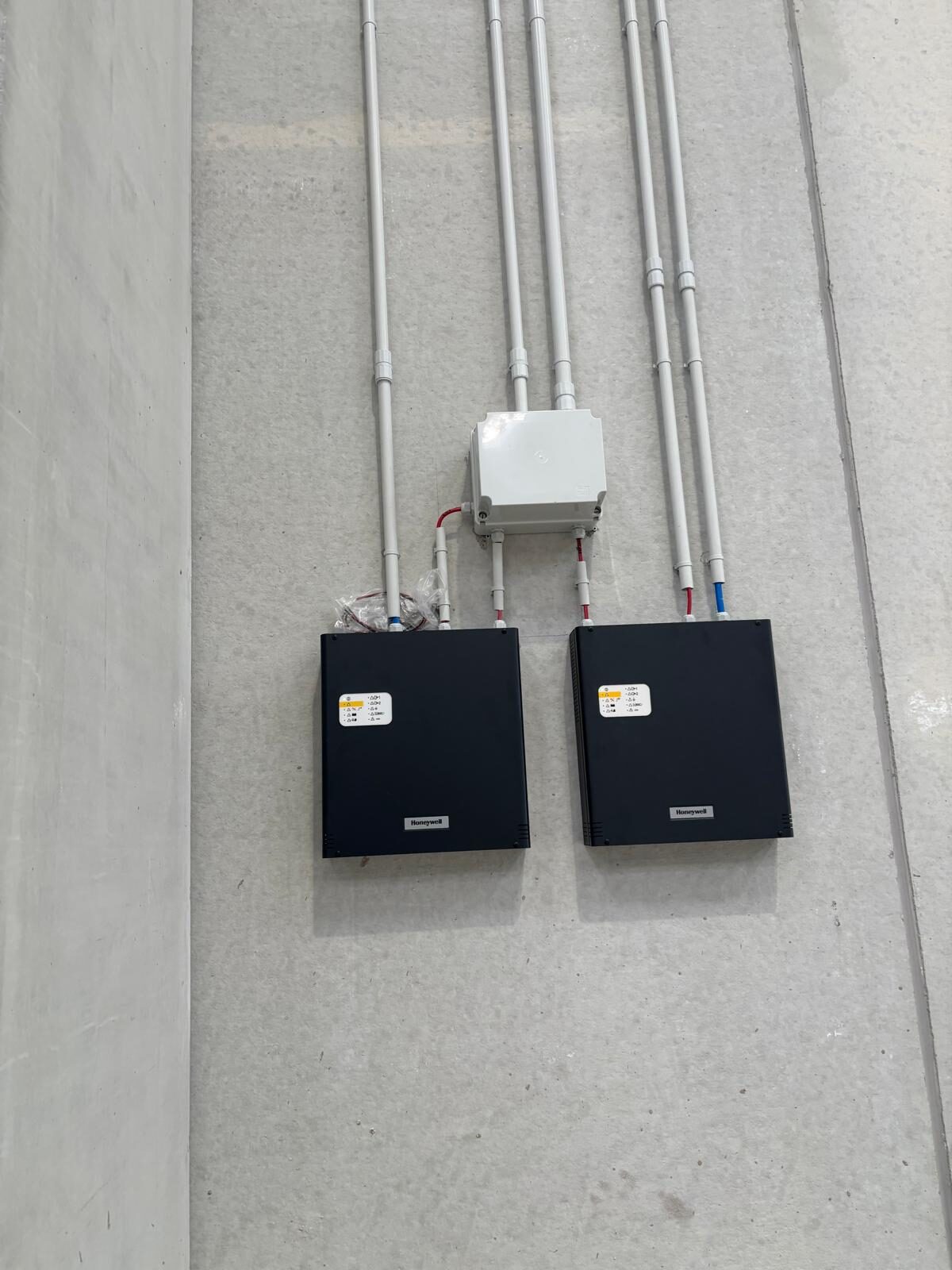 WhatsApp Image at ..